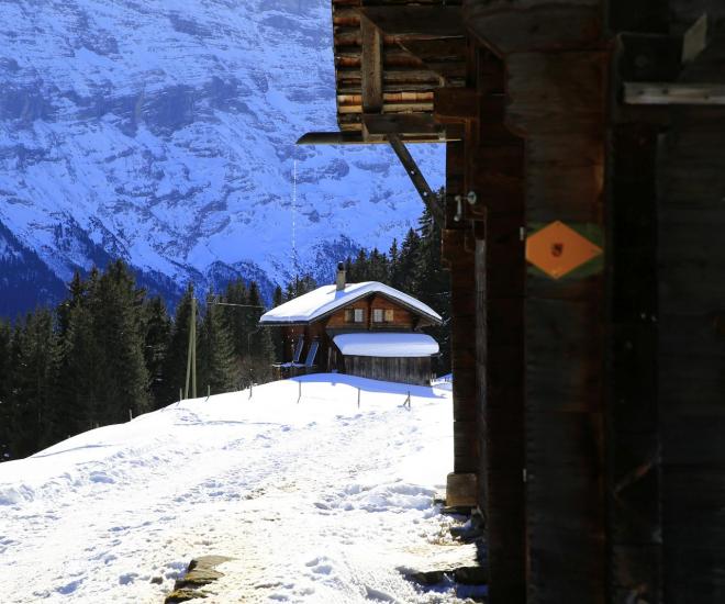 Moop Prod Landsch Websample 04 1600px