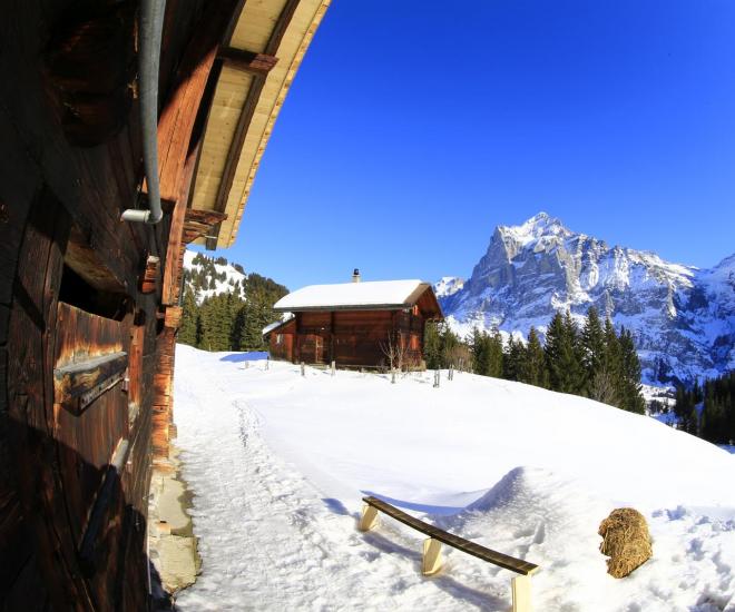 Moop Prod Landsch Websample 08 1600px